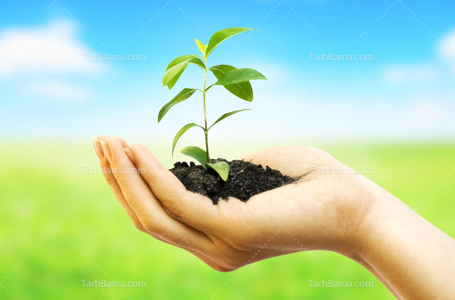 تصاویر انتزاعی